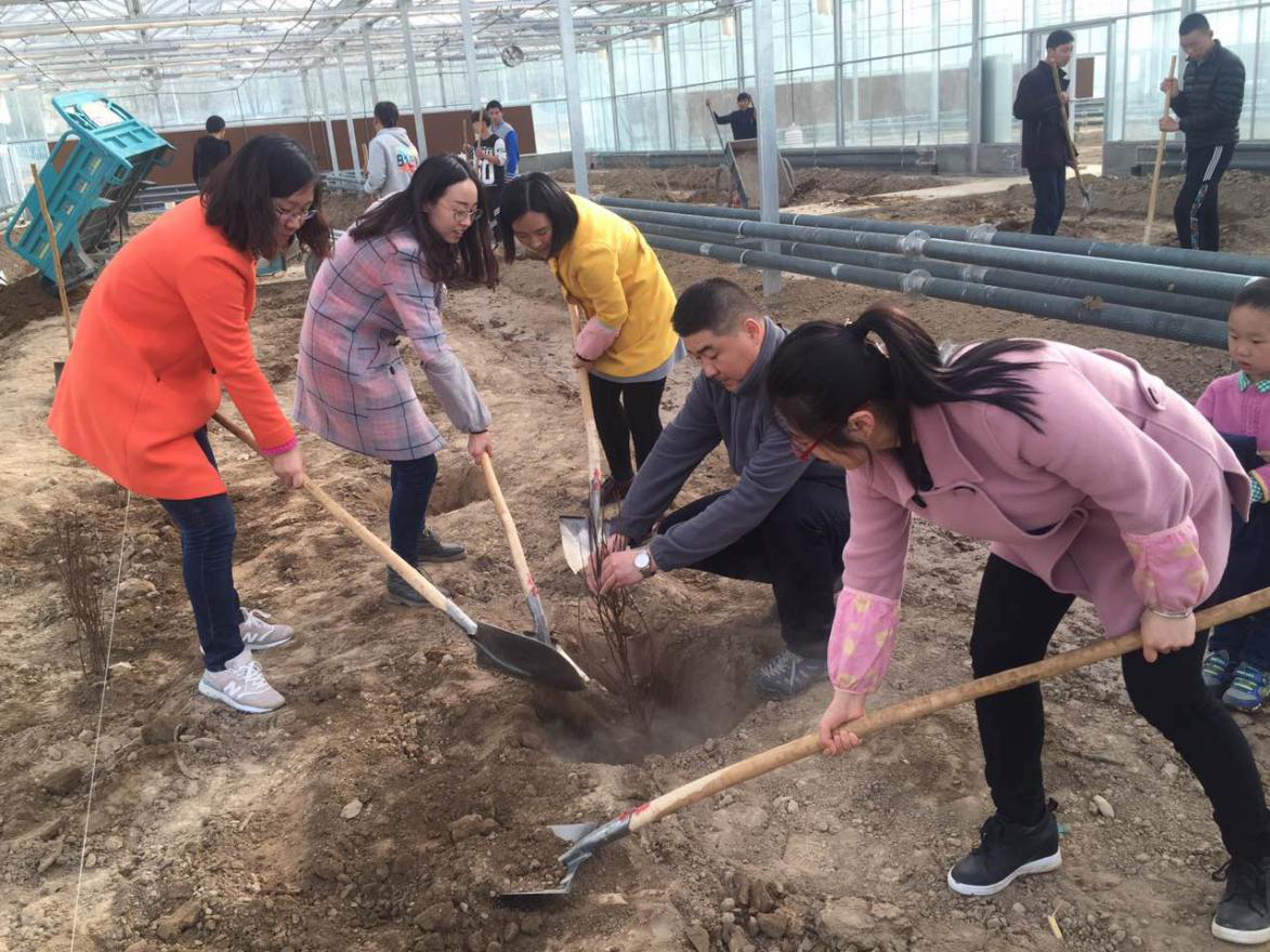 食品科学系师生在智能温室进行生产性实践劳动