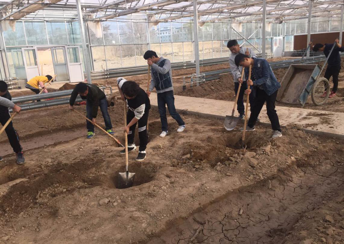 食品科学系师生在智能温室进行生产性实践劳动