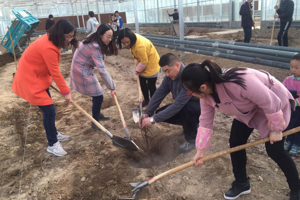 食品科学系师生在智能温室进行生产性实践劳动