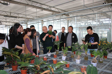 夯实责任搞党建 下到基层做教研