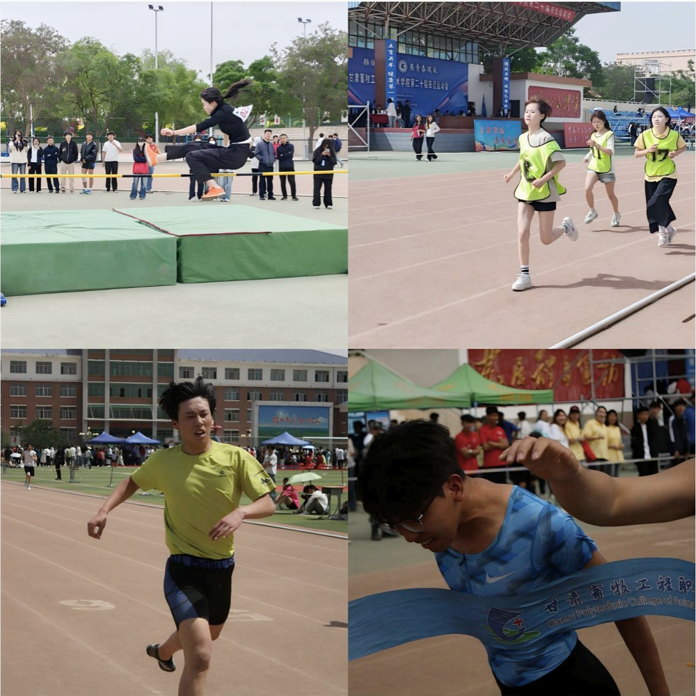 图片4