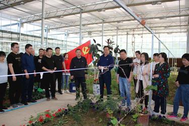 立足岗位抓党建    搞好党建促工作