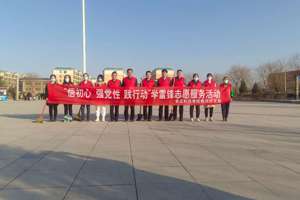 “悟初心 强党性 践行动”  学雷锋志愿服务主题党日活动