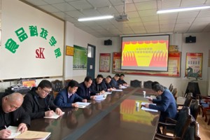 食品科技学院召开党史学习教育专题民主生活会