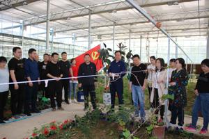 食品科学系党总支四月主题党日活动简报