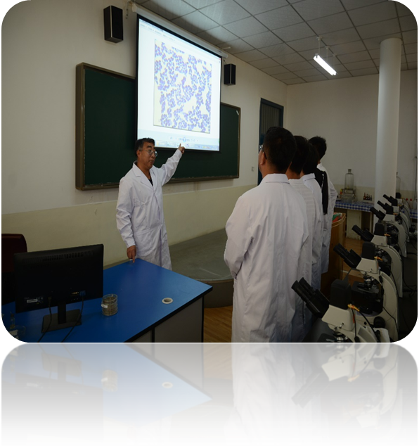 66610cbcb80c47a6a1c12be056fc7740.Png 66610cbcb80c47a6a1c12be056fc7740.Png