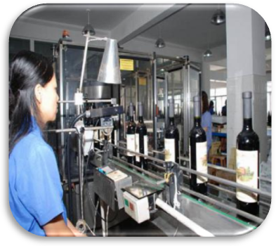 a07cb862373d44828afe67f65d77b917.Png a07cb862373d44828afe67f65d77b917.Png